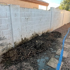 Green-Pool-Cleanup-in-Gilbert-Arizona-1 2